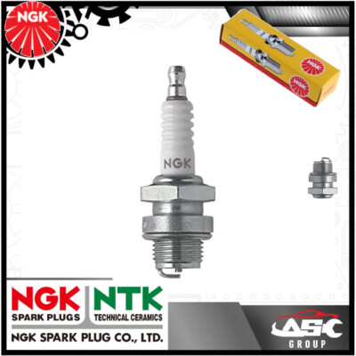 Neue NGK Zündkerze für AGRIA Rasenmäher 2300 (JLO Motor)