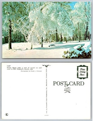 Vintage Postcard Winter Magic New England Rime Ice Snow Frank L. Forward Photo