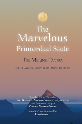 The Marvelous Primordial State | Taschenbuch | Englisch (2013)