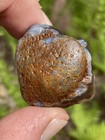 Lake Superior Agate 1.01oz — photo 10