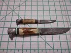 Vintage Solingen Germany Eagle Head Stag Handle Fixed Blade German Knife — photo 2