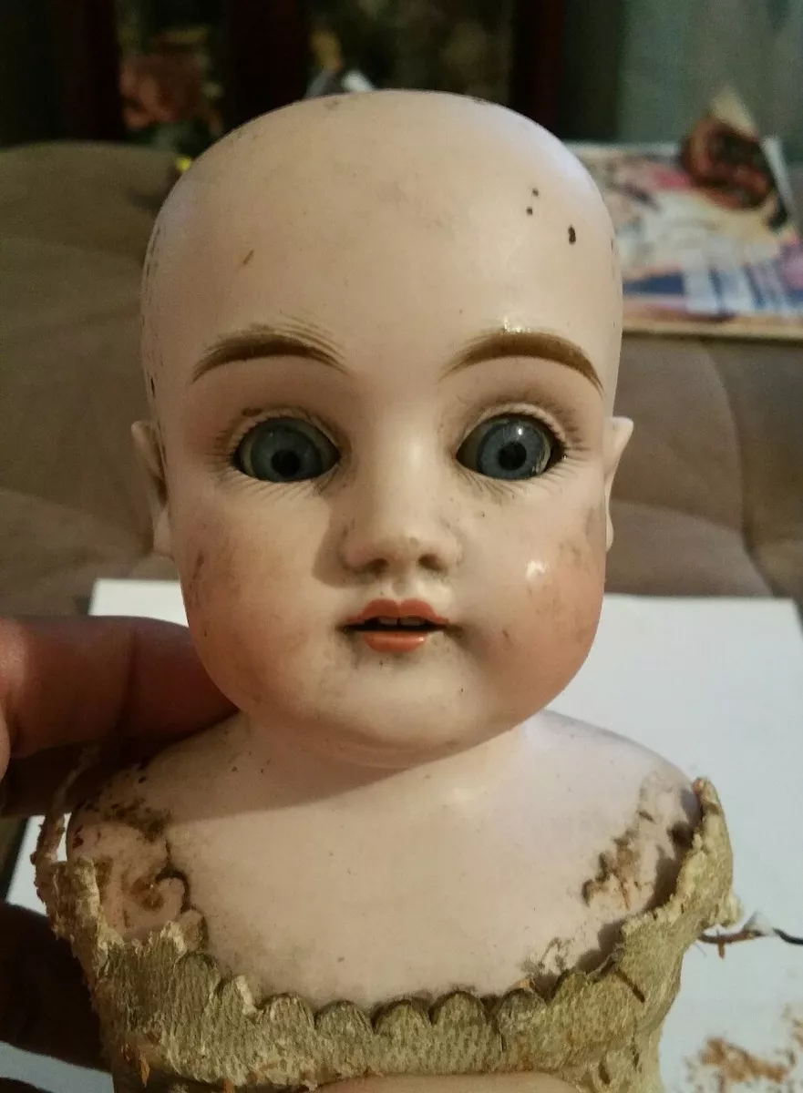 Antique German Bisque Doll Glass Eyes - Open Mouth - Teeth, 15 Made in  Germany