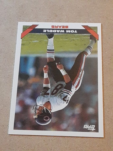 Tom Waddle Chicago Bears 1993 Topps #450 NFL Football Card CHI Wide Receiver WR - Picture 3 of 4