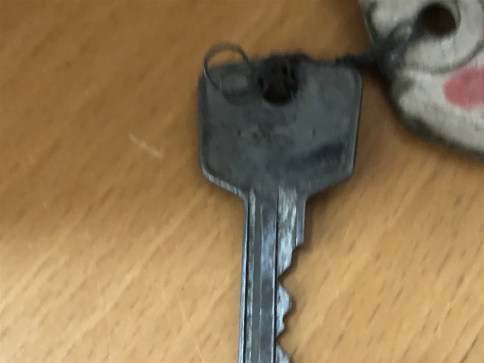 Genuine Ford Tractor KEY MARKED WITH FS880 - Image 3 of 4