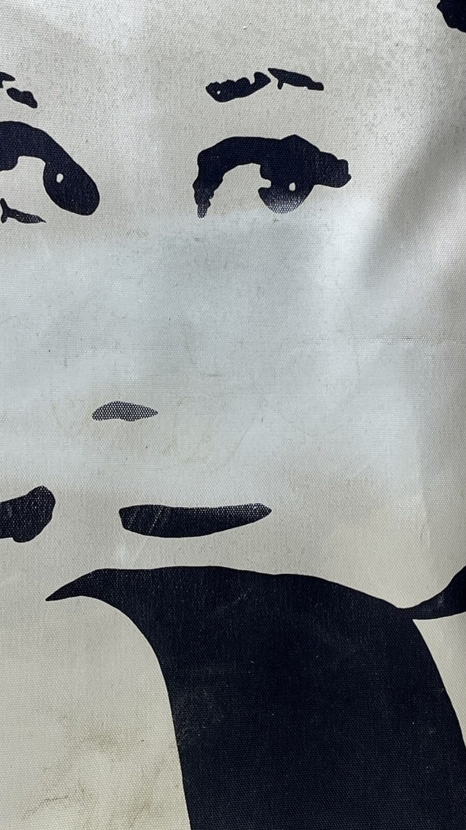 Vintage IKEA PJATTERYD Audrey Hepburn Canvas Print 35