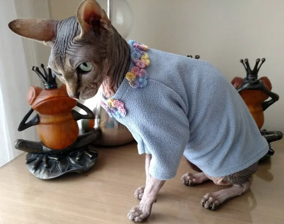 Chaqueta polar suave para gatos - GRANDE, acogedor suéter para gatos con ribete floral de ganchillo Foto 3 de 4