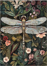 Paint by Numbers for Adult, Dragonfly Paint by Numbers Kit for Adults Beginners,