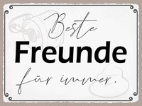 Holzschild 30X40 Cm Beste Freunde FüR Immer Deko Geschenk Holz Schild