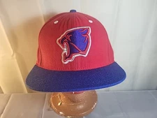 Stall & Dean Newark Eagles Fitted Hat - Negro League Baseball Cap.