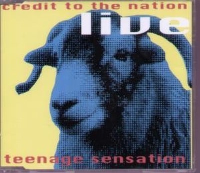 Credit An Die Nation Teenage Sensation CD UK One Little Indian 1994 Live CD
