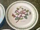 4 Assorted Portmeirion Botanic Garden Dinner Plates 10.5” — photo 5