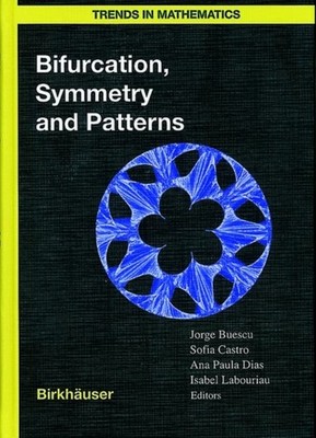 Buescu - Bifurcation Symmetry and Patterns - New hardback or cased bo - X555z