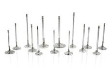 Ferrea  F1496P fits Toyota 2JZGE/2JZGTE 34.6mm 5.98mm 98.55mm 20 Deg S-Flo +1mm