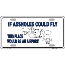 MINI Size 4"x2.2" License Plate Metal Sign for Home If As*holes Could Fly