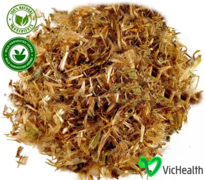Arnika Montana Blüte Kräuter bei Rheuma und Arthritis, Arnica montana