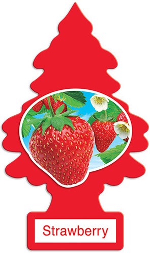 Little Trees Hanging Air Freshener Choose Scent Car Truck RV Home Office 6/10/24 - Picture 9 of 41