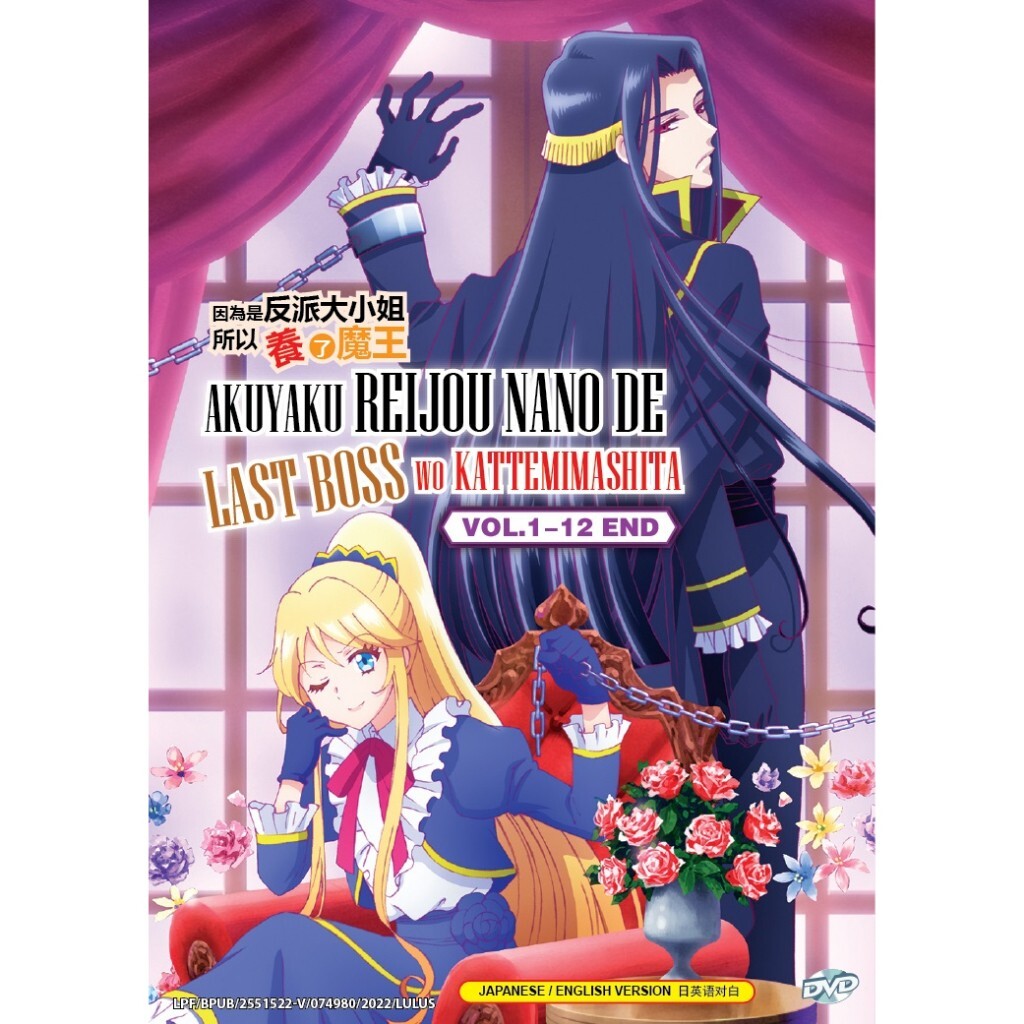 I'm the Villainess, So I'm Taming the Final Boss (Akuyaku Reijou nanode  Last Boss wo Kattemimashita) 11 (LIght Novel) – Japanese Book Store