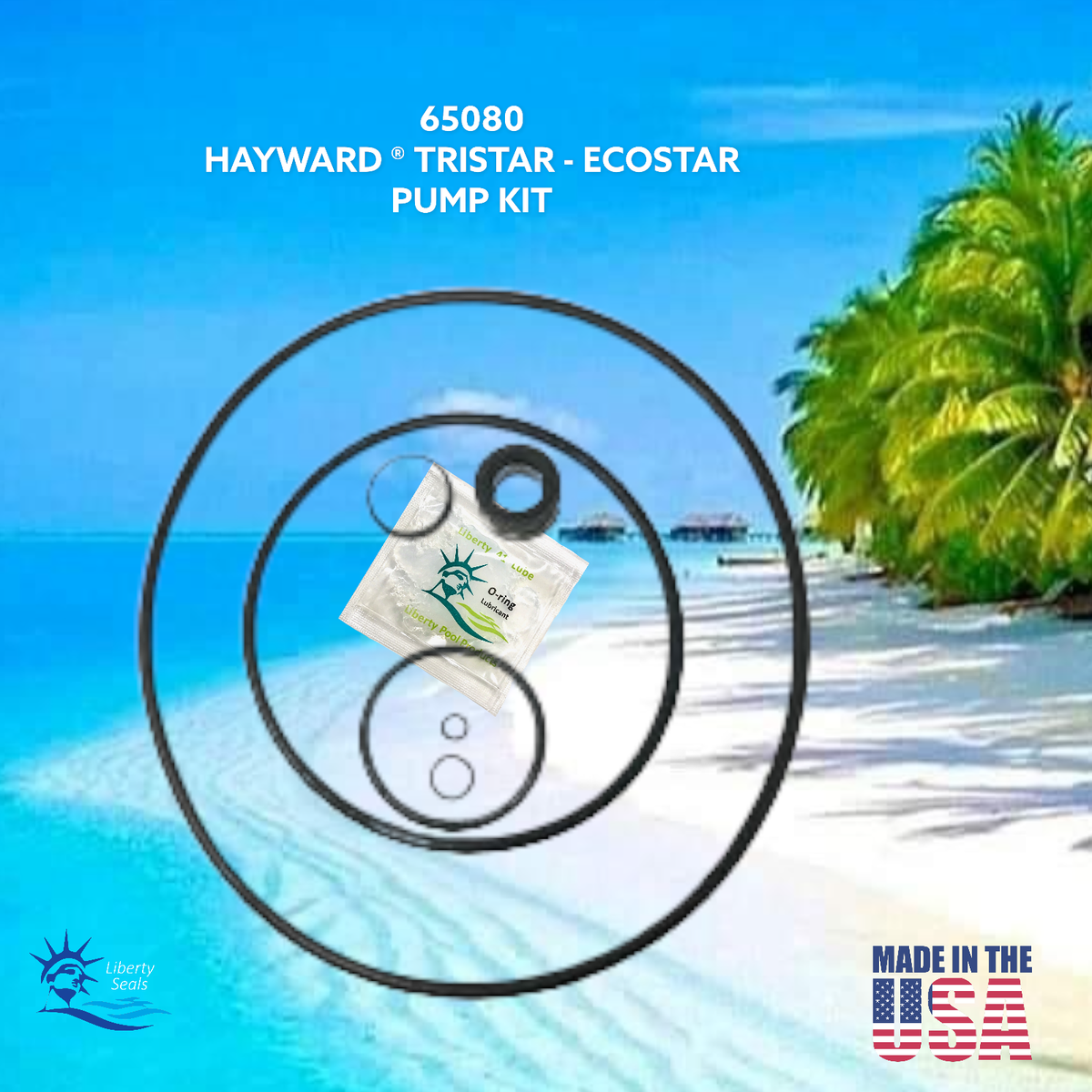 ECO-Star Energyflo Kit Riparazione Pompa 65080 LPP Sostituzione per ECO-Star Energyflo Kit Riparazione Pompa 65080 LPP Sostituzione per