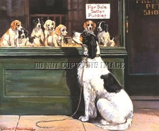 ANTIQUE 8X10 PHOTOGRAH REPRINT MAMA ENGLISH SETTER LOOKING AT HER PUPS FOR SALE