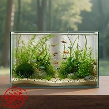 3 Gallon Glass Fish Tank Cube Rimless Desktop Aquarium Planted