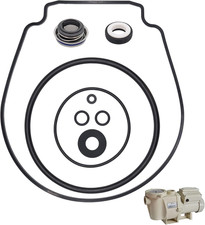 PS-1000 Rebuild Repair Kit for Pentair Whisperflo/Intelliflo Pool Pump, Seal Gas