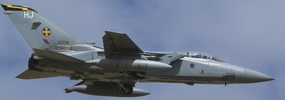 F-3 Tornado ADV RAF Interceptor Panavia Airplane Mahogany Wood Model Large New