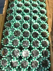 2026 Denver SemiQ Emerging Liberty Dime $5 Roll 50 Coins - READY to SHIP