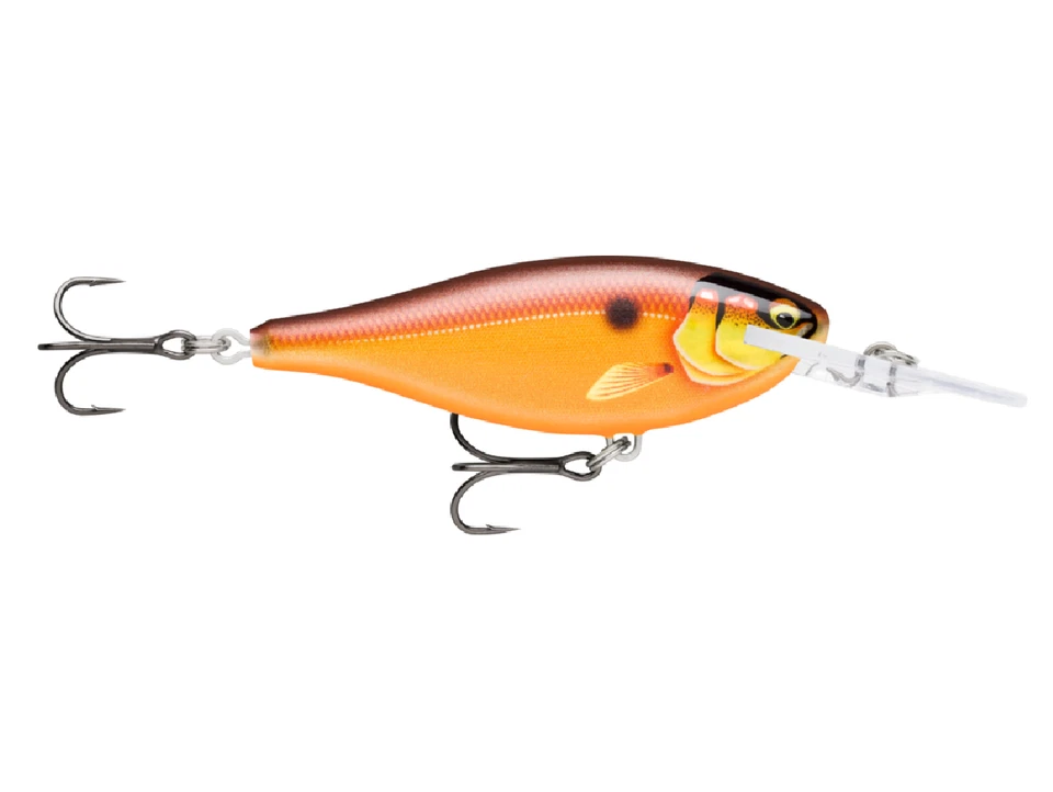 WOBBLER RAPALA SHAD RAP ELITE 5,5cm/7g F - Gilded Crawdad (SRE55 GDCW) - Bild 1 von 1