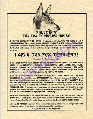 Rules In A Toy Fox Terrier's House
