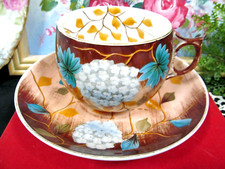 Erdmann Schlegelmilch 1861 Tea cup and saucer painted Prussia teacup Germany