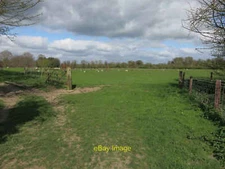 Photo 12x8 Sheep on Fulbourn Manor Estate A previously arable field, see [ c2015