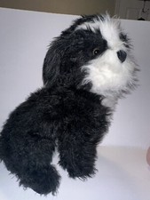 Big Mellisa And Doug Black And White Dog