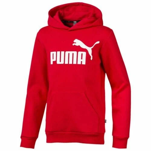 PUMA Sweatshirt Hoodies for Boys