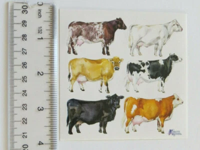 VIOLETTE COLLECTION Violette Stickers - COWS - 4x4 Square Sheet of Cows Stickers #K55