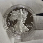 2004 W U.S. MINT AMERICAN EAGLE 1 oz SILVER PROOF $1 DOLLAR COIN