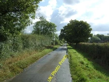 Photo 6x4 Goose Green Lane Goose Green/TM1187 Looking south east. c2016