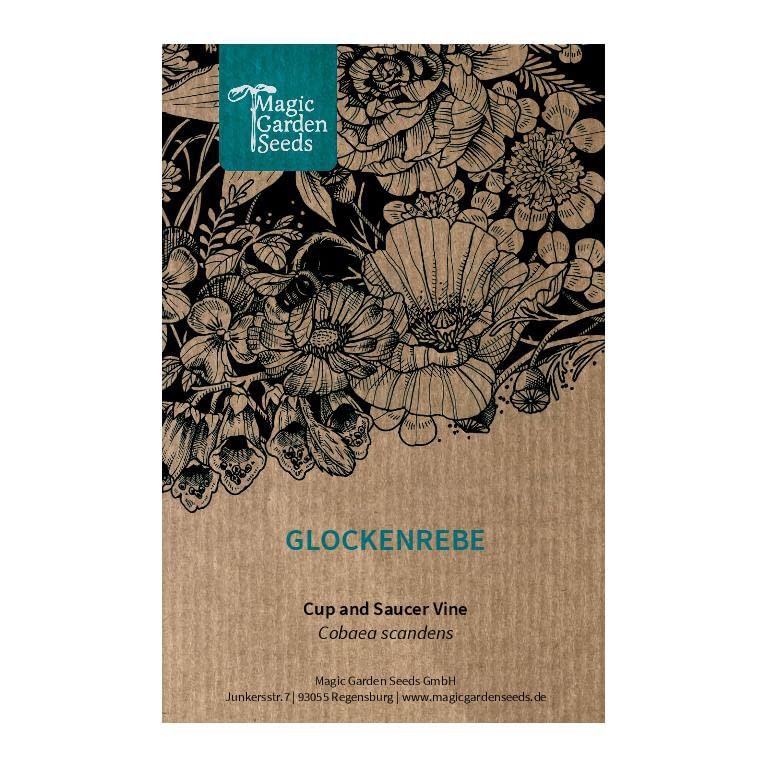 Cobea (Cobaea scandens) 5 semi campanula rampicante tropicale annuale (A5y)