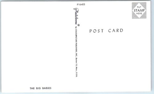 Postkarte - Die großen Babys - zwei Boxerhunde - Bild 2 von 2