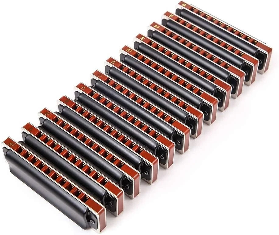 EASTTOP T008K-12 10Holes Harp Diatonic Blues Harmonica Set Of 12 Mouth Organ Set - Image 3 of 4