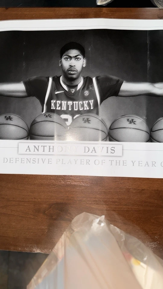 Foto enmarcada Jugador Defensivo del Año 2012 Anthony Davis "Wingspan" Foto 2 de 4