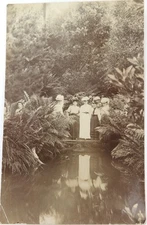 c1909 RPPC Sassafras, Victoria Real Photo Unused Postcard.