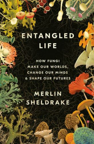 Entangled Life: How Fungi Make Our Worlds, Change Our Minds & Shape Our Futures - Picture 1 of 1