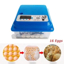16 Eggs Automatic Egg Bird Incubator Poultry Hatcher Breeder Digital Display