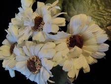 Vintage Millinery Flower Cineraria ZN Creamy White