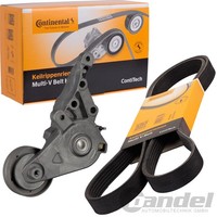 Continental Ctam KEILRIPPENRIEMEN-SATZ Passend FüR Audi A3 Seat Cordoba Ibiza