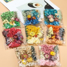 15g Dried Flower Craft Pack   Natural DIY Material for Arts, Resin  Decor