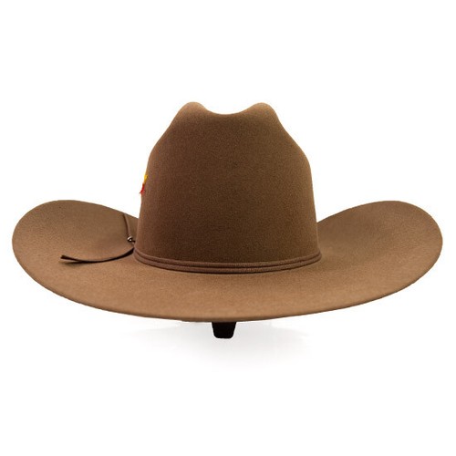 Sombrero de vaquero Stetson 6X castor bellota de piel ganadero con cepillo de sombrero gratis - Imagen 2 de 5