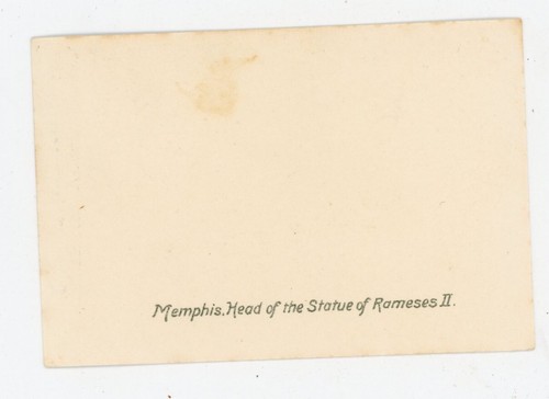 PHOTO, Egypt Memphis head of the statue of Rameses II - Picture 2 of 2