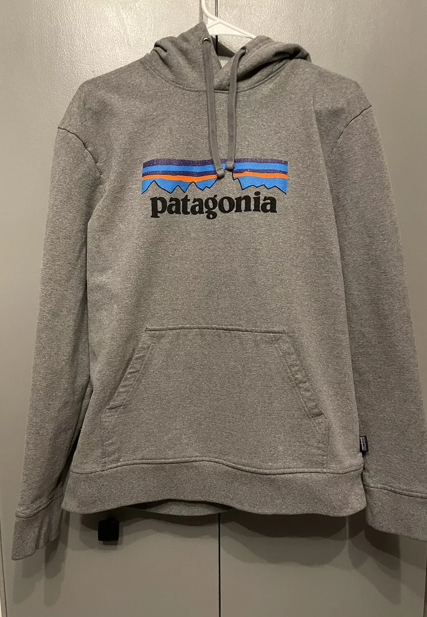 Patagonia grey sweatshirt sale