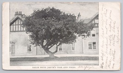 Bailie Nicol Jarvie Baum und Poker Aberfoyle Schottland Rob Roy Topographie